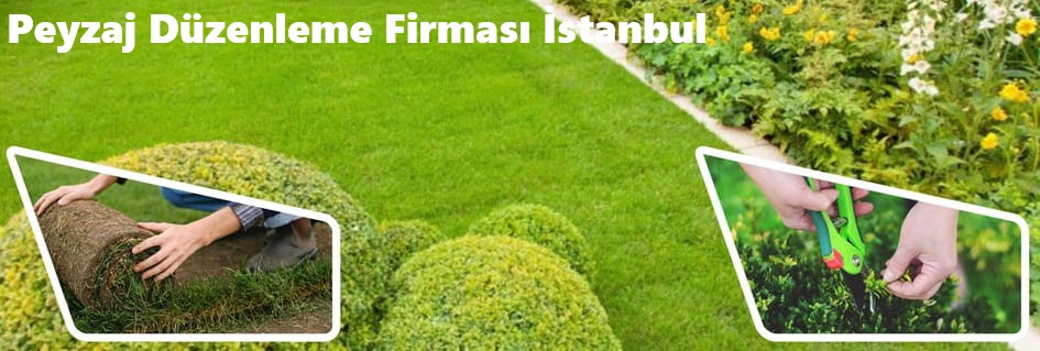 Peyzaj Düzenleme Firması İstanbul 